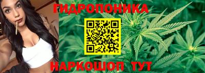 стаф Новозыбков