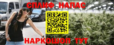 скорость Новодвинск