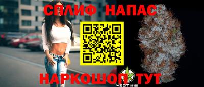 стаф Новозыбков