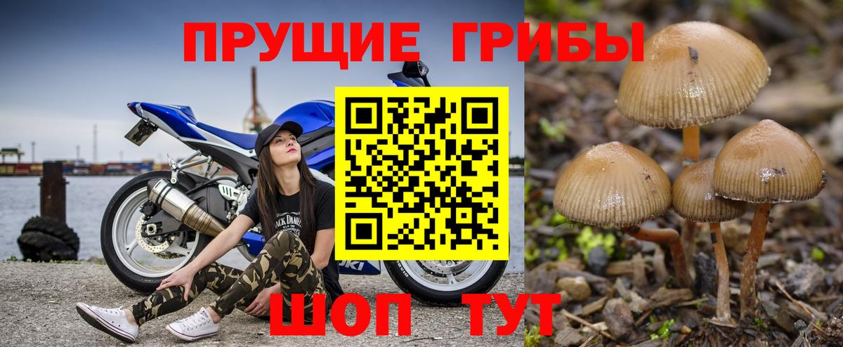 Ханты-Мансийск  Галлюциногенные грибы Cubensis  Псилоцибиновые грибы Cubensis  Вход с VPN 